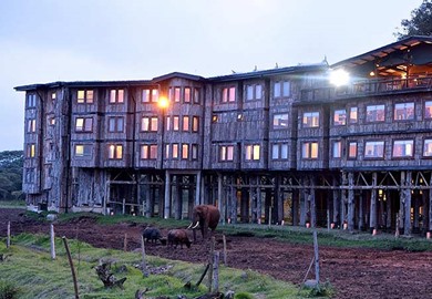 Treetops Lodge, Aberdare National Park