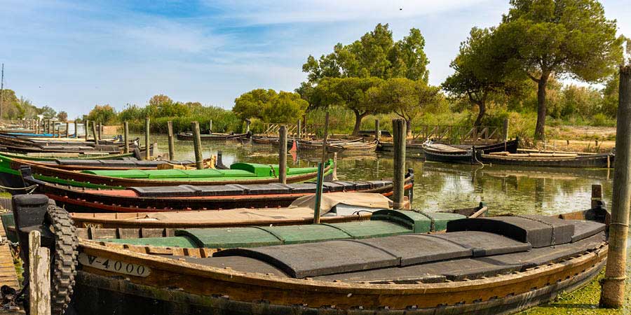 Gliding through rice fields in Albufera Natural Park