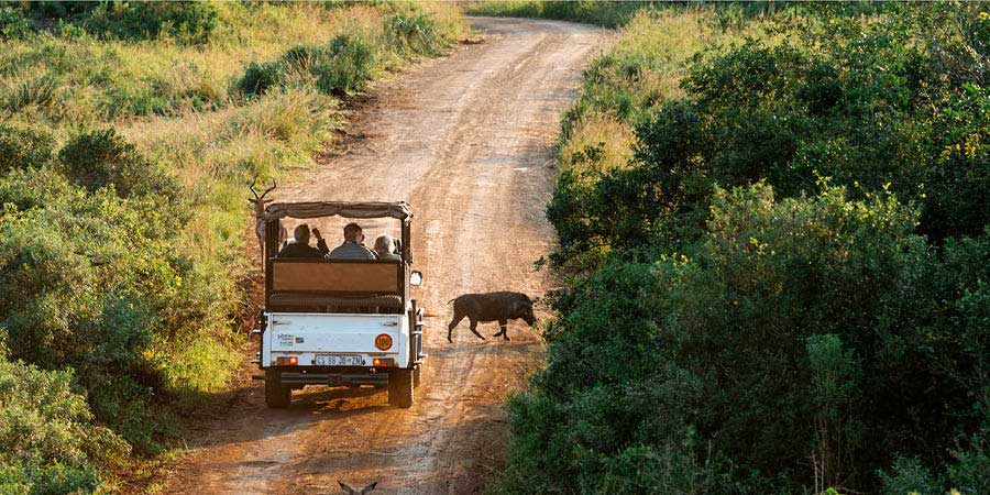 Kenya Game Drive