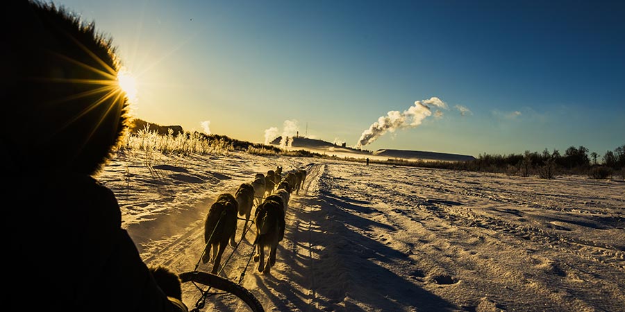  A customer rides a husky sled along the snow. 