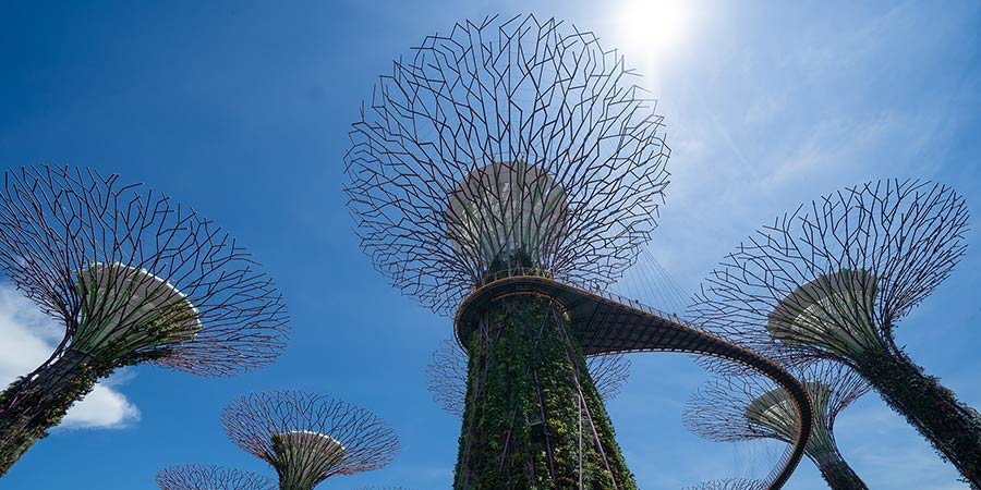 Marvelling at Singapore’s spectacular Gardens by the Bay